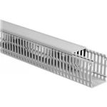 Afbeelding - 6006125-jpg